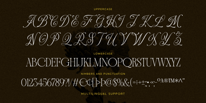Daviena Mediva Font Poster 11