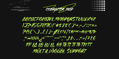 Induction Prottect Font Poster 6
