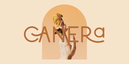 CCS Canera Font | Webfont & Desktop | MyFonts