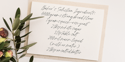 Nathing Still Font Poster 6
