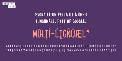 The Price Font Poster 5