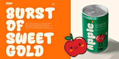 Cadel Font Poster 6