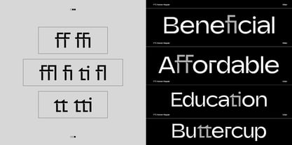 Nolven Font Poster 5