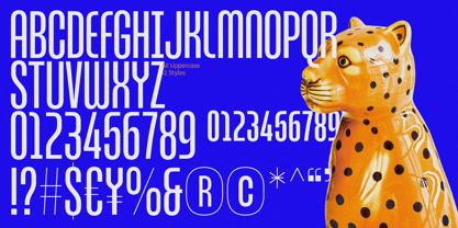 ZT Break Fast Font Poster 5