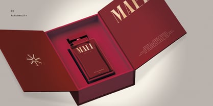 Mael Font Poster 3