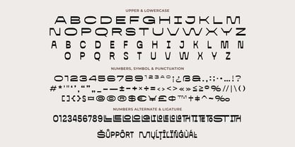 Neustar Reverse Font Poster 9