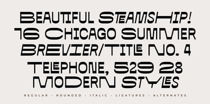 Neustar Reverse Font Poster 2