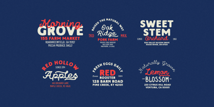 Brindmark Font Poster 5