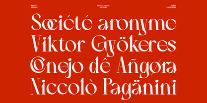 Regats Slant Display Font Poster 15