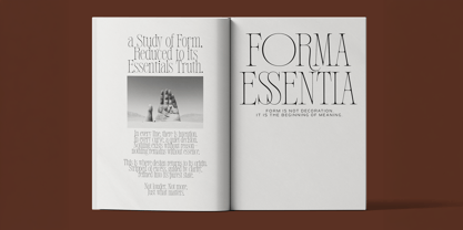 Poltra Font Poster 10