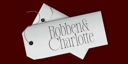 Poltra Font Poster 14