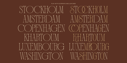 Poltra Font Poster 13
