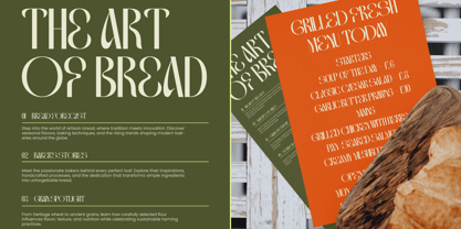 Genevieve Victoria Font Poster 9