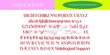 Runing Smile Font Poster 9