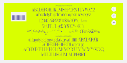 Margoise Font Poster 9
