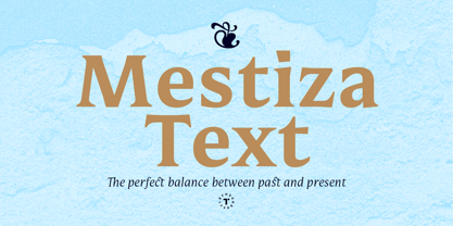 Mestiza Text Font Poster 1