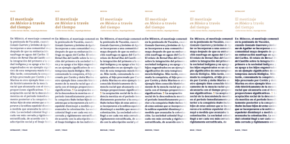 Mestiza Text Font Poster 2