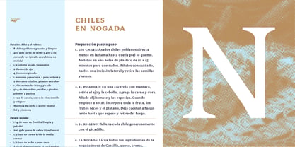 Mestiza Text Font Poster 5