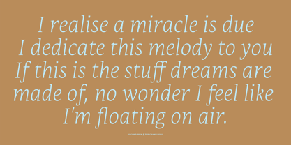 Mestiza Text Font Poster 9