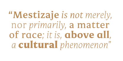 Mestiza Text Font Poster 8
