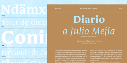 Mestiza Text Font Poster 12
