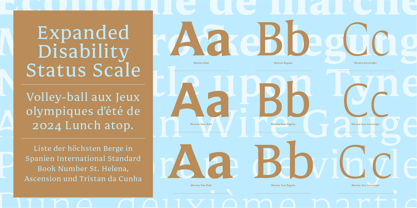 Mestiza Text Font Poster 10