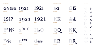 Mestiza Text Font Poster 13