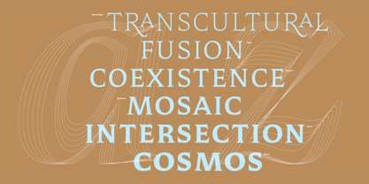 Mestiza Text Font Poster 3