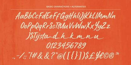 Rustline Font Poster 8