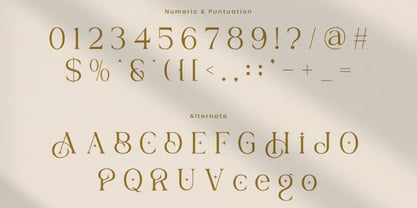 Jarryp Font Poster 7