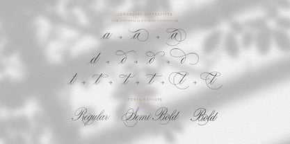 Scriptique Font Poster 15