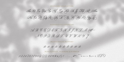 Scriptique Font Poster 13