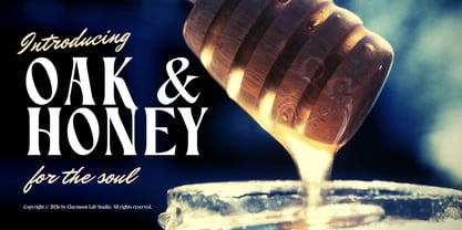 Oakhaven Font Poster 5