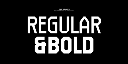 Zovelia Font Poster 6