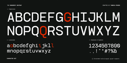 TBJ Monodrip Inktrap Font Poster 2