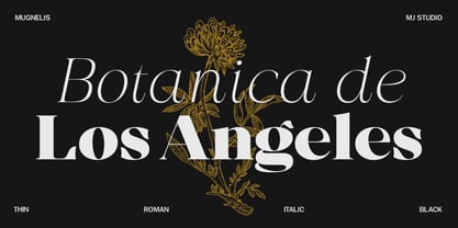 Mugnelis Font Poster 10
