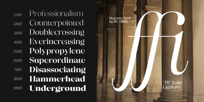 Mugnelis Font Poster 9