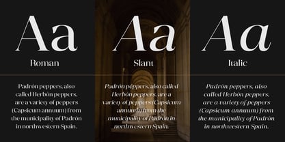Mugnelis Font Poster 7