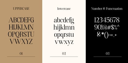 Gialvano Font Poster 3