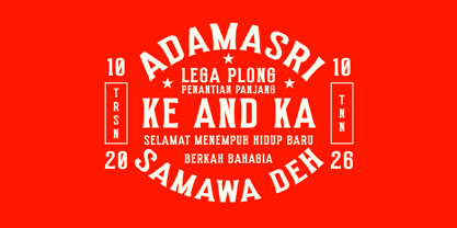 Robuste Font Poster 7