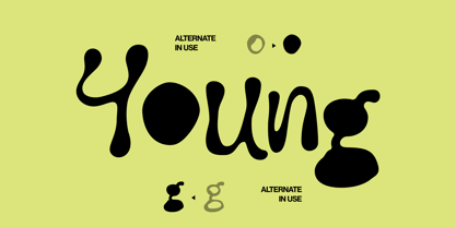 Zeloura Font Poster 5