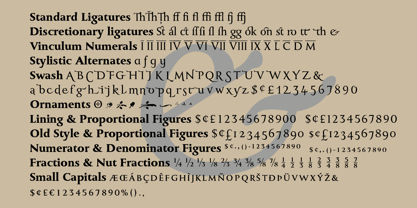 Monkton Pro Roman Font Poster 6