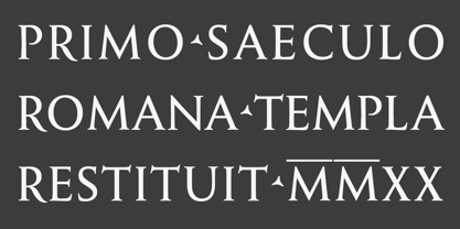 Monkton Pro Roman Font Poster 9