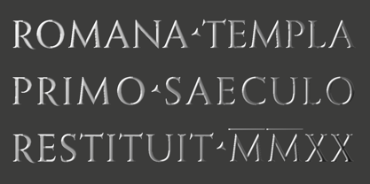 Monkton Pro Roman Font Poster 7