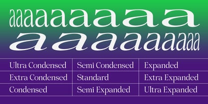 Pichellsio Font Poster 5