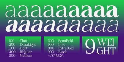 Pichellsio Font Poster 2