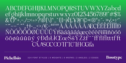 Pichellsio Font Poster 14