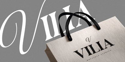 Castina Editorial Blur Script Font Poster 7
