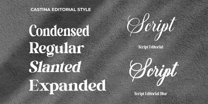 Castina Editorial Blur Script Font Poster 8