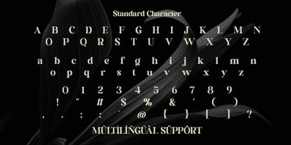 Castina Editorial Blur Script Font Poster 10